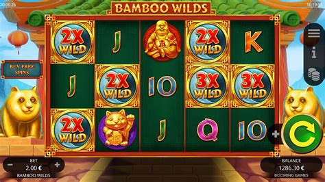 Bamboo Wilds 1xbet